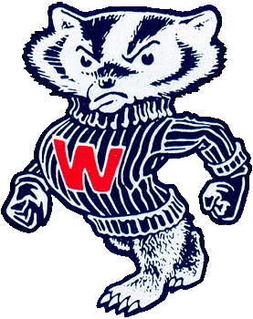 Wisconsin Badgers 1967-1990 Primary Logo iron on transfers for fabric